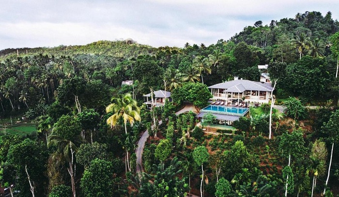 أفضل فنادق في العالم وسط الغابات والحياة البرية